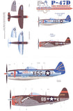 Eagle Cal EAG72106 1/72 Republic P-47D Thunderbolt Part 3