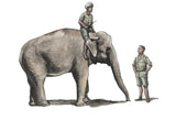 CMF72327 Czech Master Kits 1/72 RAF Mechanic of India WWII + Elephant with Mahout
